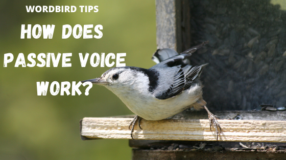 How Does Passive Voice Work?